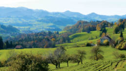 Aussicht Bed and Breakfast Winzenberg